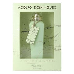 Naiste parfüüm Agua Fresca de Azahar Adolfo Dominguez EDT (120 ml) (120 ml) цена и информация | Женские духи | kaup24.ee