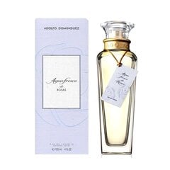 Naiste parfüüm Agua Fresca de Rosas Adolfo Dominguez EDP: Maht - 120 ml hind ja info | Naiste parfüümid | kaup24.ee