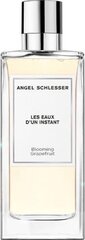 Naiste parfüüm Sensitive Grapefruit Angel Schlesser EDT (150 ml) (150 ml) цена и информация | Женские духи | kaup24.ee