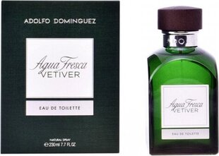 Meeste parfüüm Agua Fresca Vetiver Adolfo Dominguez EDT: Maht - 120 ml hind ja info | Meeste parfüümid | kaup24.ee