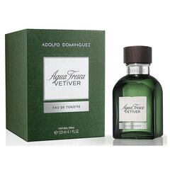 Meeste parfüüm Agua Fresca Vetiver Adolfo Dominguez EDT: Maht - 230 ml hind ja info | Meeste parfüümid | kaup24.ee