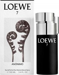 Мужская парфюмерия 7 Anónimo Loewe EDP (100 мл) цена и информация | Мужские духи | kaup24.ee