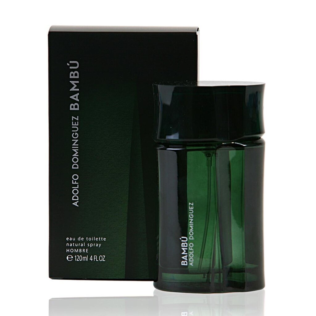 Meeste parfüüm Bambú Adolfo Dominguez EDT: Maht - 120 ml цена и информация | Meeste parfüümid | kaup24.ee