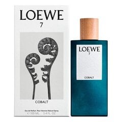 Meeste parfüüm 7 Cobalt Loewe EDP (100 ml) цена и информация | Мужские духи | kaup24.ee