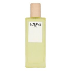 Духи Agua Loewe EDT (50 мл) цена и информация | Мужские духи | kaup24.ee