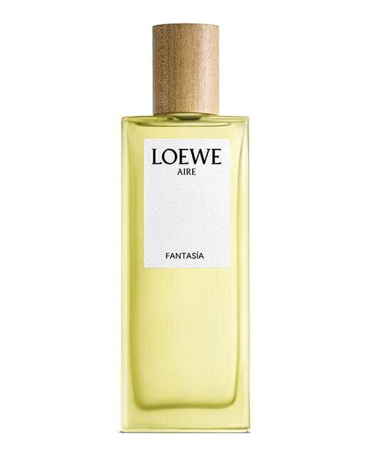 Naiste & meeste universaalnen parfüüm Aire Fantasia Loewe EDT (100 ml) hind ja info | Meeste parfüümid | kaup24.ee