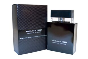 Meeste parfüüm Essential Angel Schlesser EDT: Maht - 100 ml цена и информация | Мужские духи | kaup24.ee