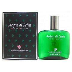 Meeste parfüüm Acqua Di Selva Victor EDC: Maht - 400 ml hind ja info | Meeste parfüümid | kaup24.ee