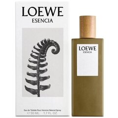 Meeste parfüüm Esencia Loewe (50 ml) (50 ml) цена и информация | Мужские духи | kaup24.ee