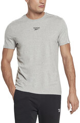 Reebok T-Särgid Wor Piping Tee Grey HA1066 HA1066/2XL цена и информация | Мужские футболки | kaup24.ee