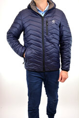 Куртка мужская Freestep 041 big, синяя цена и информация | Мужские куртки | kaup24.ee