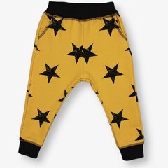Детские повседневные штаны, желтые цена и информация | Штаны для мальчика Nini | kaup24.ee