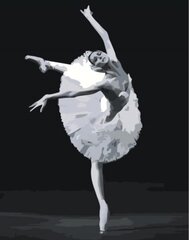 Maalid numbrite järgi "Ballerina on stage" 40x50 G hind ja info | Maalid numbri järgi | kaup24.ee