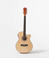 Elektrilise akustilise kitarri komplekt Alamo AC-40, hele puit цена и информация | Kitarrid | kaup24.ee