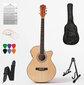 Elektrilise akustilise kitarri komplekt Alamo AC-40, hele puit цена и информация | Kitarrid | kaup24.ee