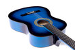 Klassikalise kitarri komplekt C-20, sinine hind ja info | Kitarrid | kaup24.ee