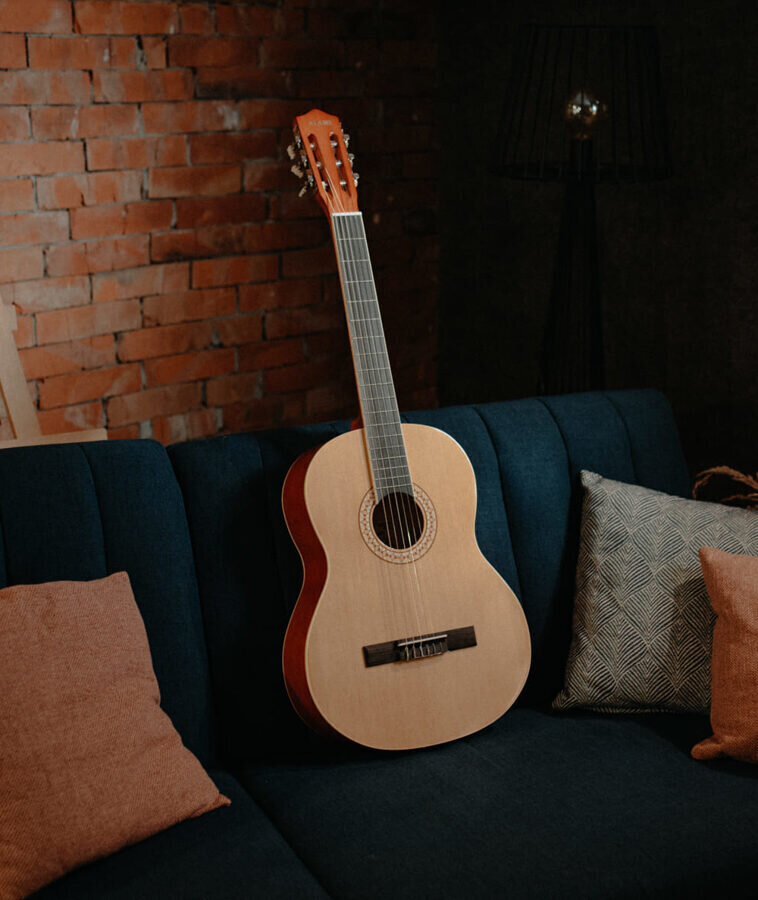 Klassikaline kitarr, komplekt Alamo CL-60, naturaalne puit цена и информация | Kitarrid | kaup24.ee