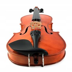 Комплект скрипки 1/2 цена и информация | Скрипки | kaup24.ee
