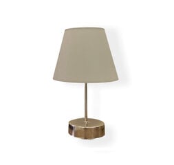 Настольная лампа Opviq 203- B- Silver цена и информация | Настольная лампа | kaup24.ee