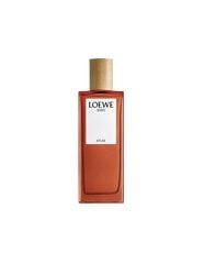 Мужская парфюмерия Loewe Solo Atlas EDP (100 ml) цена и информация | Мужские духи | kaup24.ee