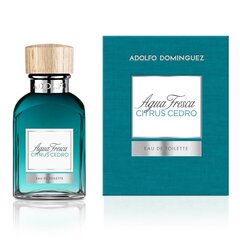 Meeste parfüüm Agua Fresca Citrus Cedro Adolfo Dominguez EDT: Maht - 60 ml цена и информация | Мужские духи | kaup24.ee