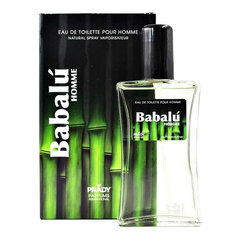 Meeste parfüüm Babalú 109 Prady Parfums EDT (100 ml) hind ja info | Meeste parfüümid | kaup24.ee