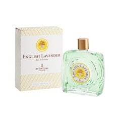 Meeste parfüüm English Lavender Atkinsons EDT (320 ml) hind ja info | Meeste parfüümid | kaup24.ee