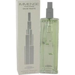 Мужская парфюмерия Jean Louis Scherrer Immense Pour Homme EDT (100 ml) цена и информация | Мужские духи | kaup24.ee