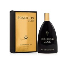 Мужская парфюмерия Poseidon Poseidon Gold (150 ml) цена и информация | Мужские духи | kaup24.ee