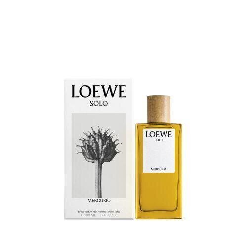 Meeste parfüüm Loewe Solo Mercurio EDP (100 ml) hind ja info | Meeste parfüümid | kaup24.ee
