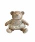 Pehme mänguasi Maximo Karu tüdrukutele, 19cm hind ja info | Pehmed mänguasjad | kaup24.ee