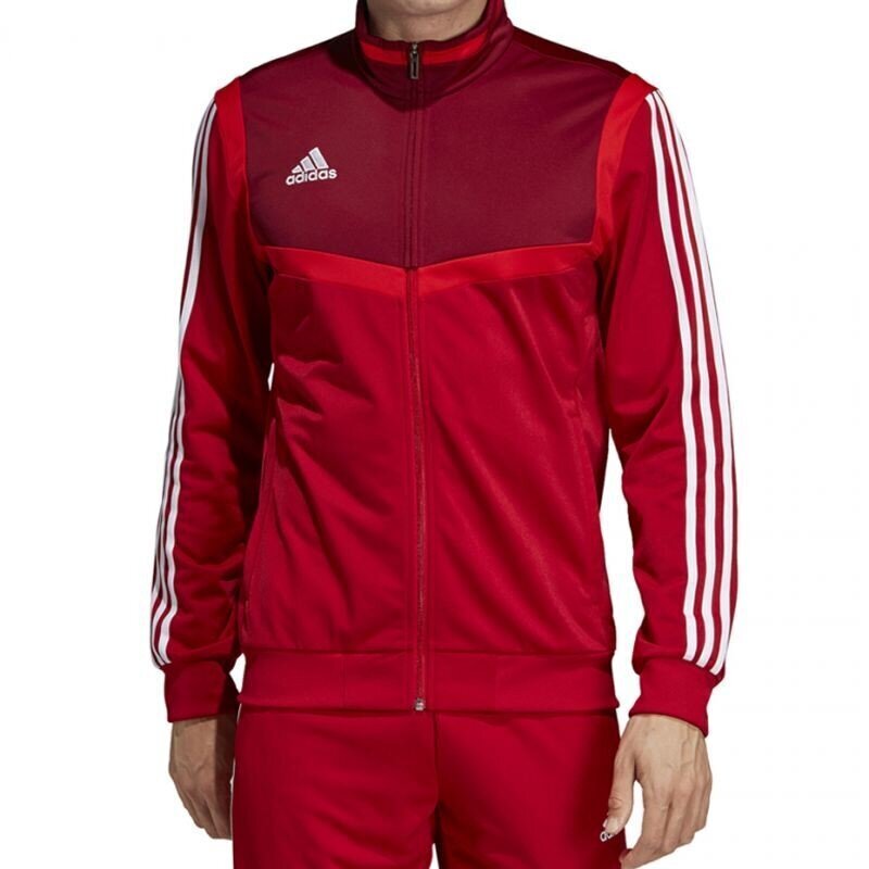 Meeste dressipluus Adidas Tiro 19 Presentation M D95936, punane hind ja info | Meeste pusad | kaup24.ee