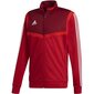 Meeste dressipluus Adidas Tiro 19 Presentation M D95936, punane hind ja info | Meeste pusad | kaup24.ee