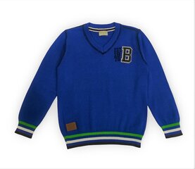 Poiste sviiter Kanz, sinine hind ja info | Poiste kampsunid, vestid ja jakid | kaup24.ee