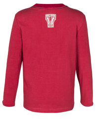 Красная футболка с длинным рукавом для мальчиков Gulliver цена и информация | Рубашки для мальчиков | kaup24.ee