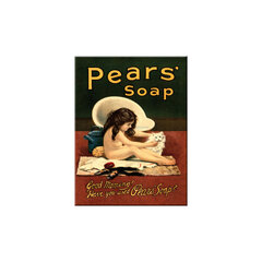 Магнит Pears´ Soap, 6x8 см цена и информация | Другие подарки | kaup24.ee