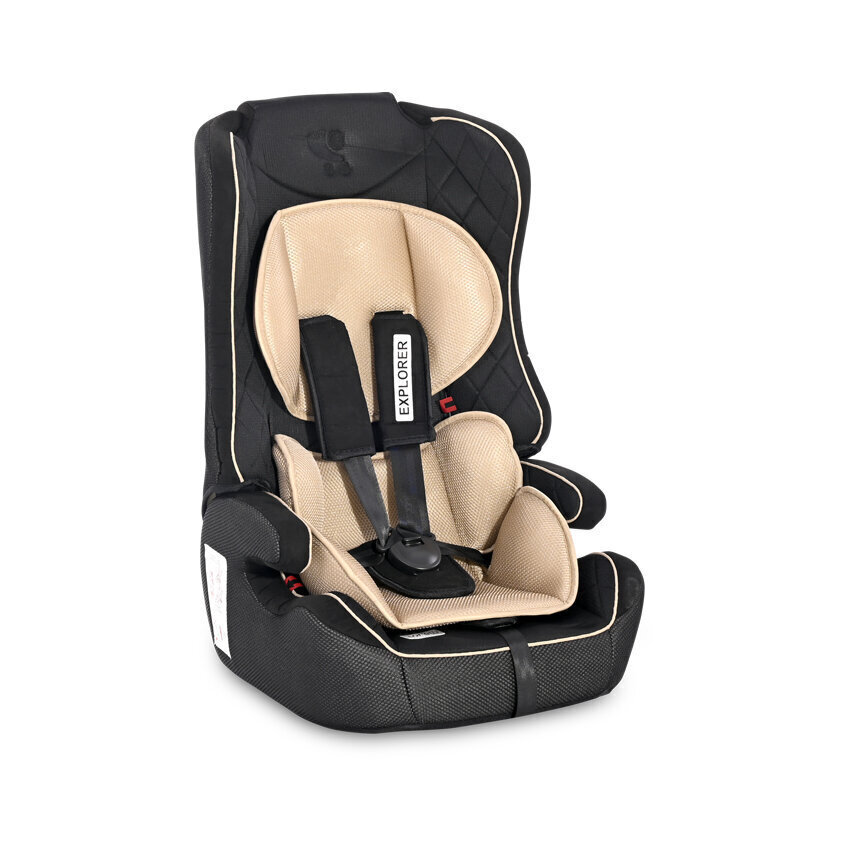 Siège Auto Baby Tiger 9-36 kg