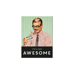 Magnet 6x8cm / You are awesome hind ja info | Kirjatarbed | kaup24.ee