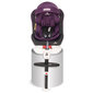 Turvatool Lorelli Pegasus, Isofix, 0-36 kg, Grey&Violet hind ja info | Turvatoolid | kaup24.ee