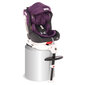 Turvatool Lorelli Pegasus, Isofix, 0-36 kg, Grey&Violet hind ja info | Turvatoolid | kaup24.ee