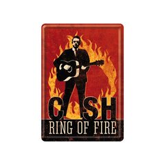 Nostalgic Art Postkaart metallist 10x14.5cm / Cash Ring of The Fire цена и информация | Детали интерьера | kaup24.ee