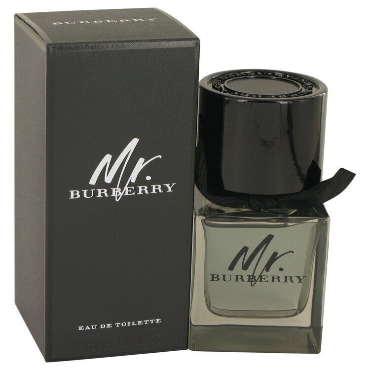 Burberry Mr. Burberry EDT meestele 50 ml цена и информация | Meeste parfüümid | kaup24.ee