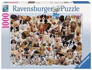 Ravensburger pusle 1000 tk Koerad hind ja info | Pusled | kaup24.ee