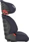 BRITAX RÖMER DISCOVERY SL turvatool, 15 - 36 kg, Storm Grey цена и информация | Turvatoolid | kaup24.ee