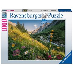 Пазл 1000 шт. Волшебная долина Ravensburger цена и информация | Пазлы | kaup24.ee