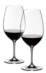 Riedel Vinum veiniklaas Shira-/Syrah, 2 tk hind ja info | Klaasid, tassid ja kannud | kaup24.ee