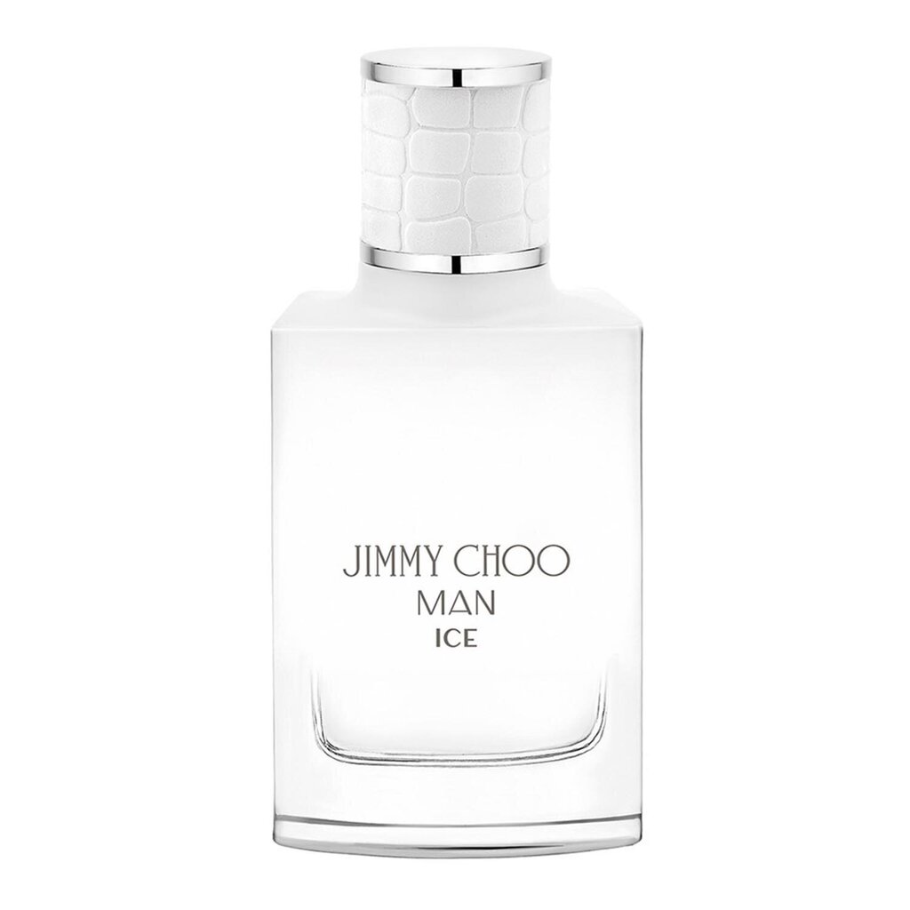 Jimmy Choo Man Ice EDT meestele 30 ml hind ja info | Meeste parfüümid | kaup24.ee