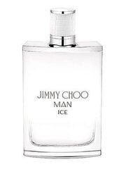 Jimmy Choo Man Ice EDT meestele 30 ml цена и информация | Мужские духи | kaup24.ee