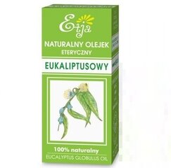 Eukalüpti eeterlik õli Etja 10 ml цена и информация | Эфирные, косметические масла, гидролаты | kaup24.ee