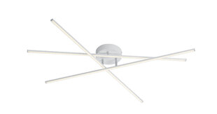 Потолочный светильник Tiriac LED, матовый белый цена и информация | Потолочные светильники | kaup24.ee